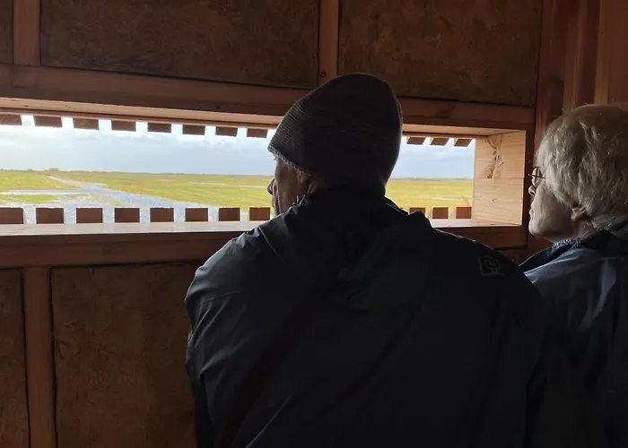 Gold - La Ferme Delaunay Holiday home Saint-Come-du-Mont